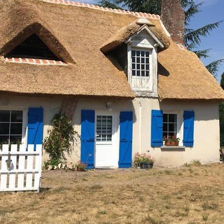 Chaumiere Avec Sa Toiture Recouverte De Chaume !!! Donnemain-Saint-Mames Dış mekan fotoğraf