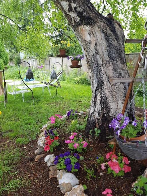 Chaumiere Avec Sa Toiture Recouverte De Chaume !!! Donnemain-Saint-Mames Dış mekan fotoğraf